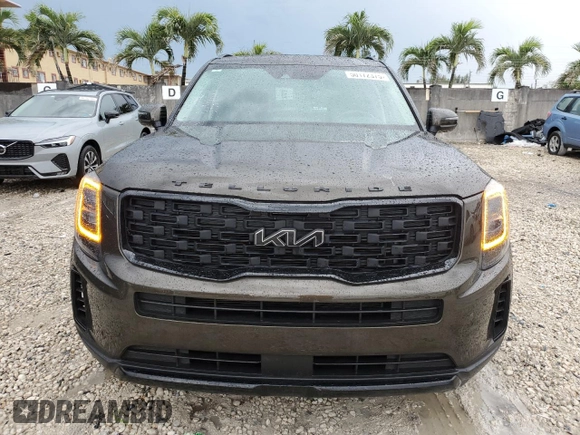 2022 Kia Telluride EX with VIN 5XYP3DHC6NG265213, listed as a Copart auction lot 50172375 with 58,458 mi miles and Salvage Title. Bid and sale history available at carsss.com. Image 5.