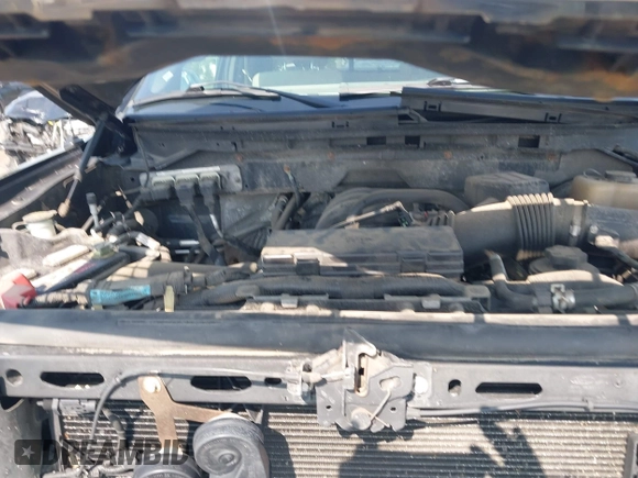 2009 Ford F-150 STX with VIN 1FTRX12859FB10421, listed as a IAAI auction lot 42396272 with 130,864 mi miles and . Bid and sale history available at DreamBid. Image 10.