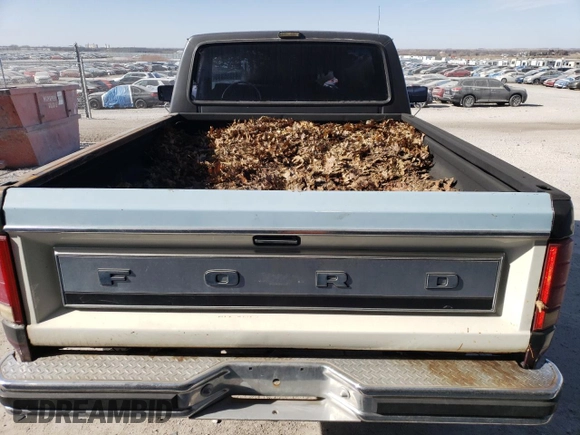 1985 Ford F-150 with VIN 1FTDF15YXFPB27178, listed as a Copart auction lot 44355395 with 0 mi miles and Clean Title. Bid and sale history available at carsss.com. Image 10.