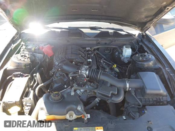 2012 Ford Mustang Premium with VIN 1ZVBP8AMXC5262021, listed as a IAAI auction lot 42244473 with 69,794 mi miles and . Bid and sale history available at DreamBid. Image 10.