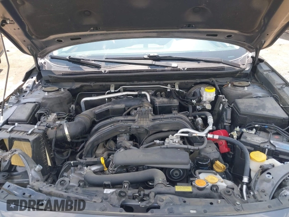 2021 Subaru Outback Touring с VIN 4S4BTAPC5M3125176, выставлен на аукционе IAAI как лот 42729316 с пробегом 70 267 миль миль и . История ставок и продаж доступна на DreamBid. Изображение 10.