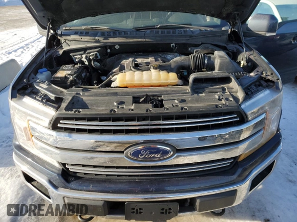 2018 Ford F-150 XL with VIN 1FTEW1EP8JFD35411, listed as a Copart auction lot 46661125 with 188,352 mi miles and Salvage Title. Bid and sale history available at DreamBid. Image 11.