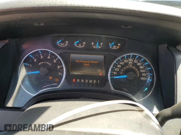 2013 Ford F-150 XL z VIN 1FTMF1CM3DKF59623, wystawiony jako Copart lot #57785795 z przebiegiem 213 868 mil mil oraz Czysty tytuł • Clean title. Historia ofert i sprzedaży dostępna na DreamBid. Obrazek 9.