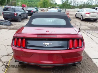 2016 Ford Mustang EcoBoost Premium with VIN 1FATP8UH6G5309546, listed as a IAAI auction lot 42260003 with 96,791 mi miles and . Bid and sale history available at DreamBid. Image 16.