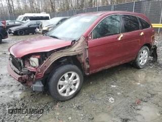 2009 Honda CR-V EX with VIN 5J6RE48559L046039, listed as a Copart auction lot 43125035 with 124,417 mi miles and Salvage Title. Bid and sale history available at carsss.com. Image 1.