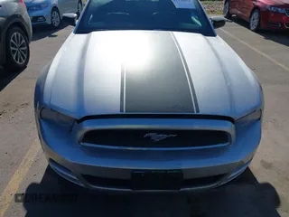 2013 Ford Mustang V6 with VIN 1ZVBP8AM1D5279453, listed as a IAAI auction lot 42128058 with 93,105 mi miles and . Bid and sale history available at DreamBid. Image 12.