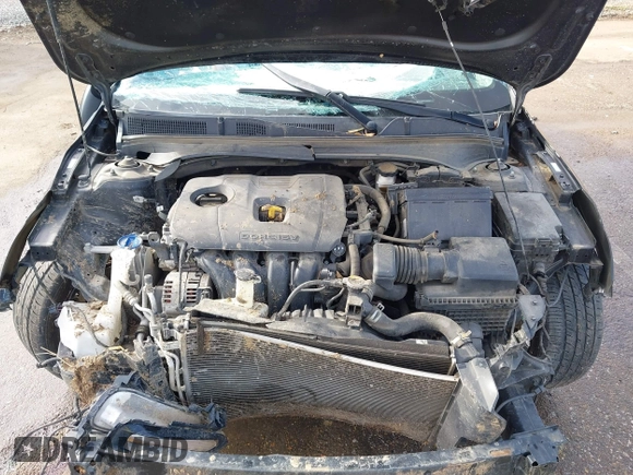 2019 Kia Forte S with VIN 3KPF34AD7KE066484, listed as a IAAI auction lot 41073964 with 118,946 mi miles. Bid and sale history available at carsss.com. Image 10.
