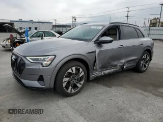 2022 Audi e-tron Premium with VIN WA1AABGE1NB022142, listed as a Copart auction lot 55533575 with 46,599 mi miles and Salvage Title. Bid and sale history available at DreamBid. Image 1.