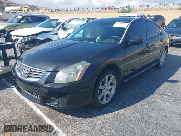 2008 Nissan Maxima 3.5 SL with VIN 1N4BA41EX8C823316, listed as a IAAI auction lot 41501959 with 184,981 mi miles. Bid and sale history available at carsss.com. Image 2.