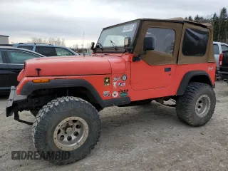 1995 Jeep Wrangler S with VIN 1J4FY19P5SP233644, listed as a Copart auction lot 48706875 with 101,221 mi miles and Clean Title. Bid and sale history available at carsss.com. Image 1.