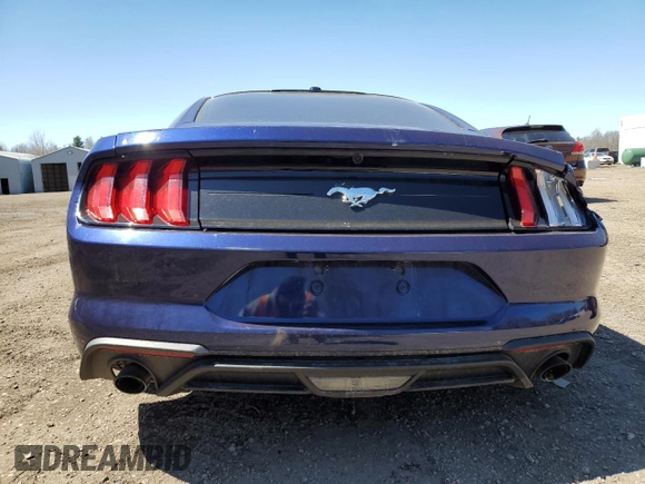 2020 Ford Mustang EcoBoost with VIN 1FA6P8TH3L5100144, listed as a Copart auction lot 52670225 with Not Provided miles and Salvage Title. Bid and sale history available at DreamBid. Image 6.