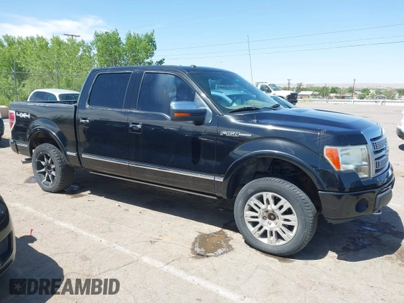 2011 Ford F-150 XL with VIN 1FTFW1EFXBFB09903, listed as a IAAI auction lot 42258501 with 252,477 mi miles and . Bid and sale history available at DreamBid. Image 13.