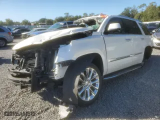 2020 Cadillac Escalade Luxury with VIN 1GYS3BKJ2LR224611, listed as a Copart auction lot 73991893 with 0 mi miles and Non Repairable. Bid and sale history available at carsss.com. Image 1.
