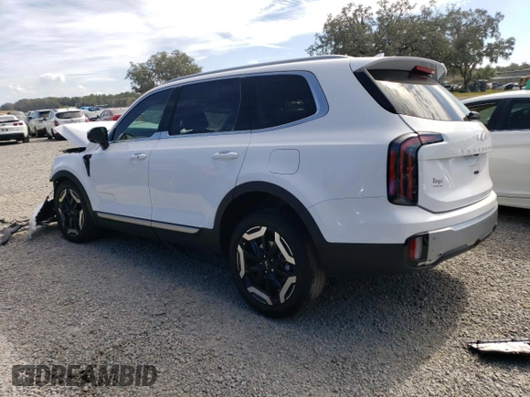 2024 Kia Telluride EX with VIN 5XYP3DGC1RG442032, listed as a Copart auction lot 75420063 with Not Provided miles and Non Repairable. Bid and sale history available at carsss.com. Image 2.