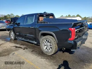 2022 Toyota Tundra 1794 Edition with VIN 5TFMA5DB2NX033703, listed as a Copart auction lot 41414545 with Not provided miles and Salvage title. Bid and sale history available at DreamBid. Image 2.