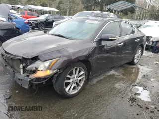 2010 Nissan Maxima 3.5 SV with VIN 1N4AA5AP3AC873113, listed as a Copart auction lot 42130095 with 176,954 mi miles and Salvage Title. Bid and sale history available at carsss.com. Image 1.