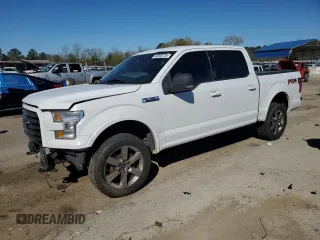 2017 Ford F-150 XL with VIN 1FTEW1EF3HFB62821, listed as a Copart auction lot 49506135 with 126,176 mi miles and Salvage Title. Bid and sale history available at carsss.com. Image 1.