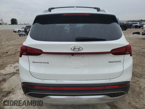 2022 Hyundai Santa Fe Hybrid SEL Premium with VIN KM8S3DA17NU020286, listed as a Copart auction lot 42856574 with 51,148 mi miles. Bid and sale history available at carsss.com. Image 6.