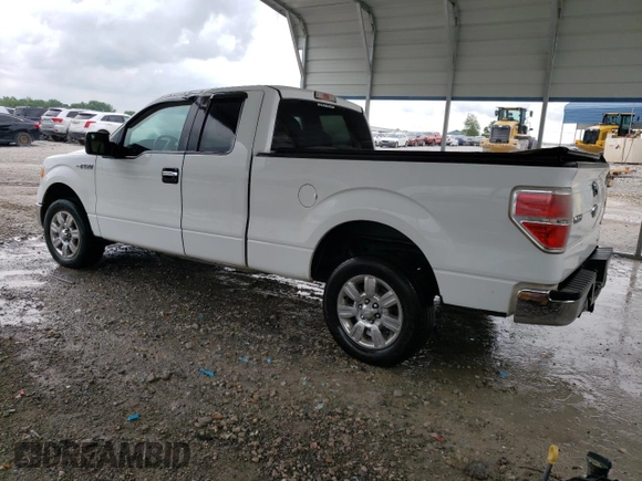 2011 Ford F-150 XL with VIN 1FTEX1CM2BFA84151, listed as a Copart auction lot 54936604 with 124,413 mi miles and Clean Title. Bid and sale history available at carsss.com. Image 2.