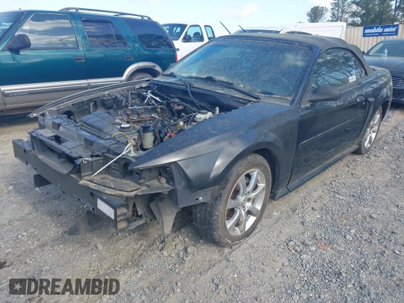 2003 Ford Mustang GT Deluxe with VIN 1FAFP45XX3F341089, listed as a IAAI auction lot 41960011 with 1 mi miles. Bid and sale history available at carsss.com. Image 2.