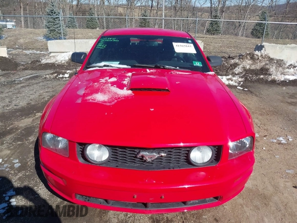 2008 Ford Mustang GT Deluxe with VIN 1ZVHT82HX85123943, listed as a IAAI auction lot 41565843 with 233,125 mi miles and . Bid and sale history available at DreamBid. Image 12.