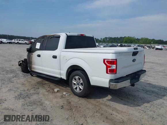 2019 Ford F-150 XL with VIN 1FTEW1C53KFC88713, listed as a IAAI auction lot 42053323 with Not Provided miles and . Bid and sale history available at carsss.com. Image 3.
