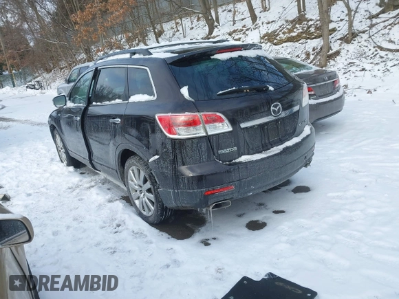 2009 Mazda CX-9 Touring with VIN JM3TB38V790165623, listed as a IAAI auction lot 41258693 with Not Provided miles. Bid and sale history available at carsss.com. Image 3.