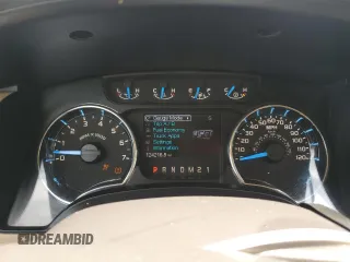 2013 Ford F-150 XL with VIN 1FTFW1EF1DFB70494, listed as a Copart auction lot 61549945 with 124,216 mi miles and Salvage title. Bid and sale history available at DreamBid. Image 9.