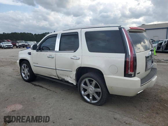 2010 Cadillac Escalade Premium with VIN 1GYUKCEF1AR291044, listed as a Copart auction lot 51627715 with 138,989 mi miles and Salvage title. Bid and sale history available at DreamBid. Image 2.