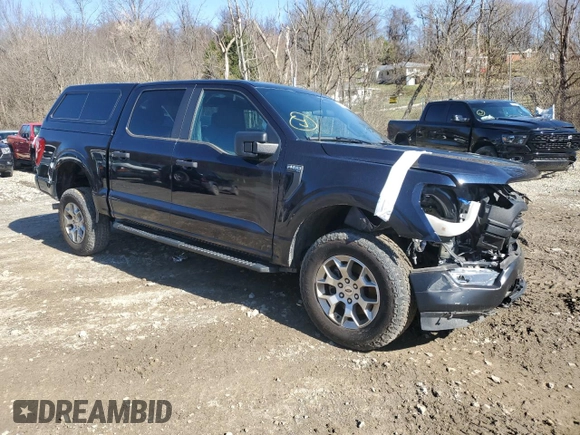 2023 Ford F-150 with VIN 1FTFW1P83PKE89261, listed as a Copart auction lot 46786025 with 9,079 mi miles and Salvage title. Bid and sale history available at DreamBid. Image 4.