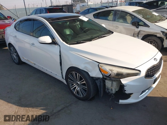 2014 Kia Cadenza Premium with VIN KNALN4D79E5157353, listed as a IAAI auction lot 41291153 with 141,049 mi miles. Bid and sale history available at carsss.com. Image 1.