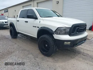 2009 Dodge 1500 SLT with VIN 1D3HV13T49S726050, listed as a IAAI auction lot 42557573 with 217,836 mi miles and . Bid and sale history available at DreamBid. Image 1.
