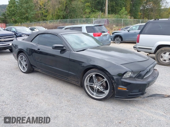 2013 Ford Mustang V6 with VIN 1ZVBP8EM3D5211391, listed as a IAAI auction lot 40585527 with 203,555 mi miles and . Bid and sale history available at DreamBid. Image 1.