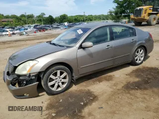 2004 Nissan Maxima SL with VIN 1N4BA41E24C907575, listed as a Copart auction lot 59956394 with 204,734 mi miles and Salvage Title. Bid and sale history available at carsss.com. Image 1.