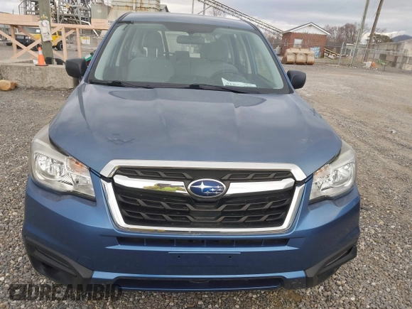 2017 Subaru Forester with VIN JF2SJAAC9HH410475, listed as a IAAI auction lot 41823315 with 46,867 mi miles and . Bid and sale history available at DreamBid. Image 11.