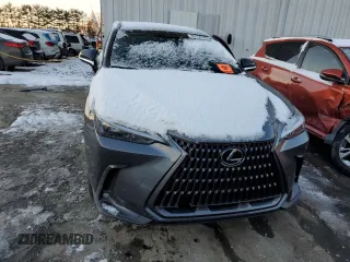 2024 Lexus NX with VIN 2T2AGCEZ9RC057644, listed as a Copart auction lot 89156795 with 0 mi miles and Salvage Title. Bid and sale history available at carsss.com. Image 5.
