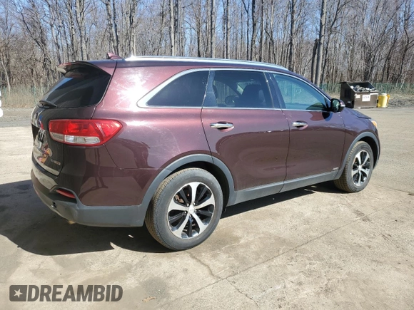 2016 Kia Sorento EX with VIN 5XYPHDA15GG065727, listed as a Copart auction lot 49607025 with 110,364 mi miles and Clean Title. Bid and sale history available at carsss.com. Image 3.