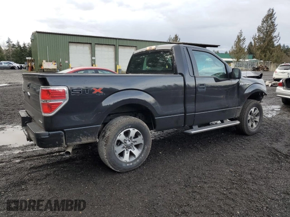 2013 Ford F-150 XL with VIN 1FTMF1EF1DKF32841, listed as a Copart auction lot 43436565 with 64,986 mi miles and Salvage Title. Bid and sale history available at DreamBid. Image 3.