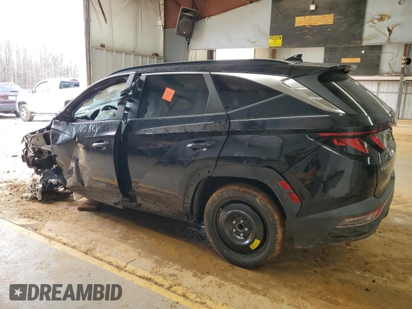 2024 Hyundai Tucson SEL with VIN 5NMJB3DE9RH298549, listed as a Copart auction lot 45176285 with Not Provided miles and Clean Title. Bid and sale history available at carsss.com. Image 2.