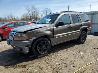 2000 Jeep Grand Cherokee Laredo z VIN 1J4GW48N9YC239166, wystawiony jako Copart lot #53321135 z przebiegiem 142 162 mil mil oraz Szkody całkowita. Historia ofert i sprzedaży dostępna na DreamBid. Obrazek 1.