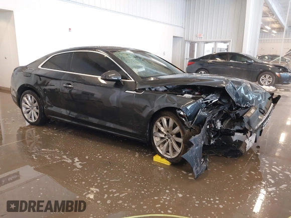 2018 Audi A5 Premium Plus with VIN WAUPNAF51JA073637, listed as a IAAI auction lot 41289291 with Not Provided miles and . Bid and sale history available at DreamBid. Image 1.