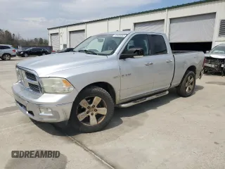 2010 Dodge 1500 SLT with VIN 1D7RB1GT4AS139115, listed as a Copart auction lot 48408365 with 331,235 mi miles and Salvage Title. Bid and sale history available at carsss.com. Image 1.