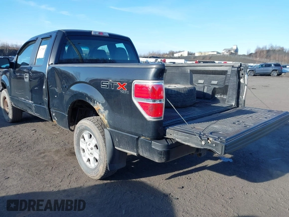2010 Ford F-150 XL with VIN 1FTEX1EW2AFD38194, listed as a IAAI auction lot 41773805 with 143,313 mi miles. Bid and sale history available at carsss.com. Image 3.
