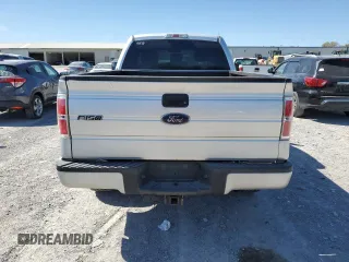2013 Ford F-150 XL with VIN 1FTMF1EF3DFB72688, listed as a Copart auction lot 52922865 with 196,457 mi miles and Salvage Title. Bid and sale history available at DreamBid. Image 6.