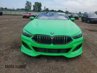 2020 BMW 8 Series z VIN WBAFY4C03LCE17539, wystawiony jako Copart lot #64737445 z przebiegiem 24 919 mil mil oraz Szkoda całkowita • Salvage title. Historia ofert i sprzedaży dostępna na DreamBid. Obrazek 5.