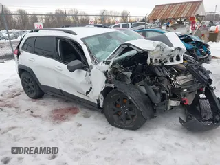 2019 Jeep Cherokee Trailhawk Elite with VIN 1C4PJMBX0KD362287, listed as a IAAI auction lot 41656425 with 87,641 mi miles. Bid and sale history available at carsss.com. Image 1.