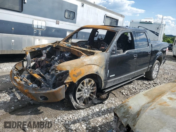 2013 Ford F-150 XL with VIN 1FTFW1ET8DFB64228, listed as a Copart auction lot 58772755 with Not provided miles and Salvage title. Bid and sale history available at DreamBid. Image 1.