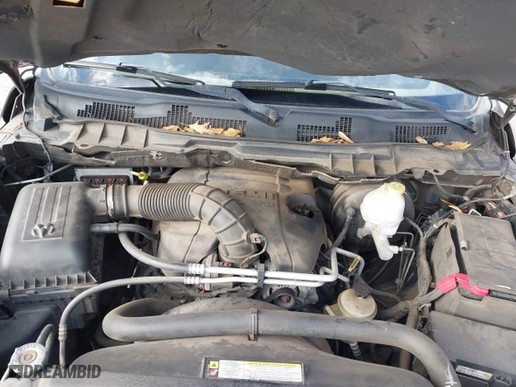 2010 Dodge Ram 1500 SLT with VIN 1D7RB1CTXAS245221, listed as a IAAI auction lot 41593273 with 191,810 mi miles. Bid and sale history available at carsss.com. Image 10.