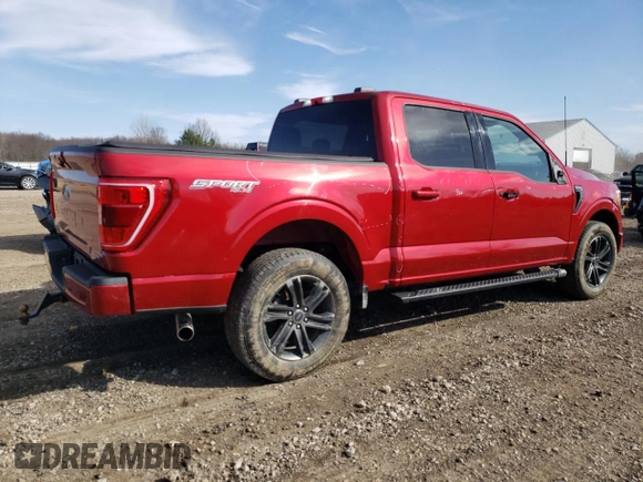 2022 Ford F-150 XL with VIN 1FTEW1EP3NFA79541, listed as a Copart auction lot 49204215 with 54,992 mi miles and Salvage Title. Bid and sale history available at DreamBid. Image 3.