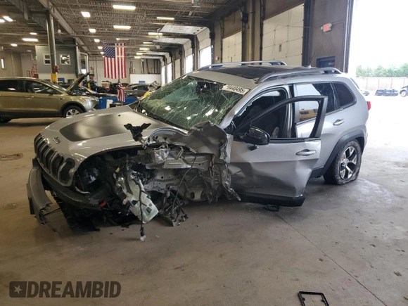 2014 Jeep Cherokee Trailhawk with VIN 1C4PJMBSXEW213981, listed as a Copart auction lot 60440495 with 136,612 mi miles and Salvage title. Bid and sale history available at DreamBid. Image 1.